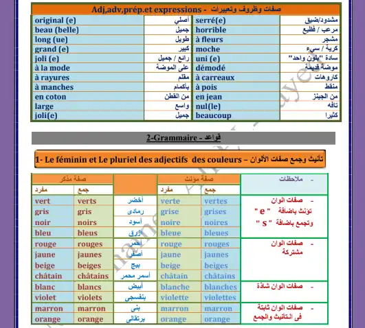 مستر محمد علي السيد